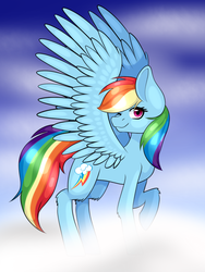 Size: 1200x1600 | Tagged: safe, artist:rdstartie, rainbow dash, pony, g4, cloud, female, one eye closed, raised hoof, solo, spread wings, wink