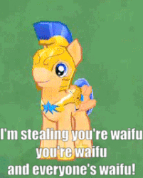 Size: 215x268 | Tagged: safe, gameloft, flash sentry, pegasus, pony, 3d, animated, dancing, dancing flashy, fail, flash sentry gets all the mares, gif, grammar error, image macro, male, meme, misspelling, misspelling of your, solo, waifu, waifu thief