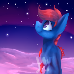 Size: 5000x5000 | Tagged: safe, artist:dragon9913, oc, oc only, earth pony, pony, absurd resolution, male, nation ponies, night, ponified, slovakia, solo, stallion, stars, watermark
