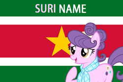 Size: 1596x1064 | Tagged: safe, edit, suri polomare, earth pony, pony, g4, female, flag, namesake, pun, solo, suriname, visual pun