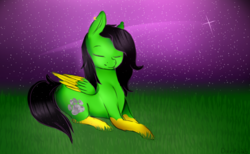 Size: 938x577 | Tagged: safe, artist:deerotic25, oc, oc only, oc:camoflage cat, pony, field, night, solo