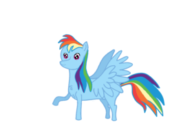 Size: 800x600 | Tagged: safe, artist:sc orion, rainbow dash, pony, g4, chest fluff, female, simple background, solo, transparent background