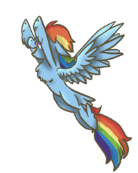 Size: 1824x2296 | Tagged: safe, artist:ashleybances, rainbow dash, pony, g4, chest fluff, female, flying, simple background, solo, transparent background, unshorn fetlocks