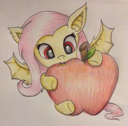 Size: 1024x1008 | Tagged: safe, artist:ekakichan, fluttershy, bat pony, pony, g4, apple, female, flutterbat, food, micro, race swap, solo, traditional art