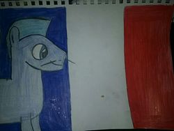 Size: 800x600 | Tagged: safe, artist:milo(german), oc, oc only, oc:sportifli, flag, french flag, smiling, solo, traditional art