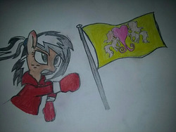 Size: 400x300 | Tagged: safe, artist:milo(german), oc, oc only, oc:uppercute, boxing gloves, clothes, flag, gloves, jacket, ponyville flag, solo, traditional art