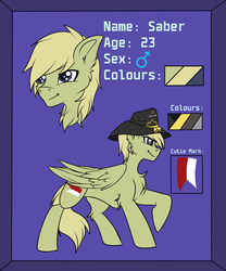 Size: 1824x2191 | Tagged: safe, artist:fkk, oc, oc only, pony, commission, male, nudity, raised hoof, reference sheet, solo, stallion, ych result