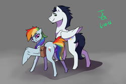 Size: 3000x2000 | Tagged: safe, artist:joan-grace, rainbow dash, soarin', pegasus, pony, g4, backpack, cutie mark, female, high res, male, mare, old cutie mark, ship:soarindash, shipping, story included, straight