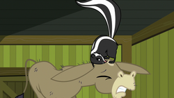 Size: 1280x720 | Tagged: safe, screencap, cranky doodle donkey, donkey, skunk, 28 pranks later, g4, about to blow, angry, animal, eyes closed, female, male, prank, raised tail, tail, this will end in a tomato juice bath