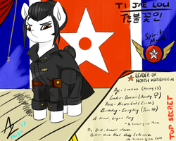Size: 1000x800 | Tagged: safe, artist:aer0 zer0, oc, oc only, oc:ti jae lou, korean, north korea, north koreneigh, reference sheet, solo