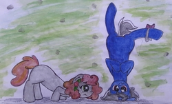 Size: 2879x1737 | Tagged: safe, oc, oc only, oc:maggie, oc:mr. frost, earth pony, pony, unicorn, anniversary, cute, female, gift art, male, mare, playing, stallion