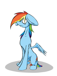 Size: 1800x2400 | Tagged: safe, artist:enzymedevice, rainbow dash, g4, female, floppy ears, shadow, simple background, sitting, solo, white background