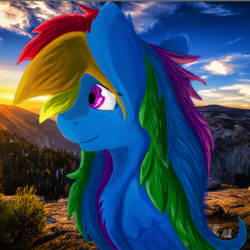 Size: 1000x1000 | Tagged: safe, artist:alecace445, rainbow dash, pony, g4, female, scenery, smiling, solo