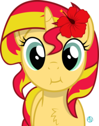 Size: 2130x2699 | Tagged: safe, artist:arifproject, sunset shimmer, pony, unicorn, g4, :i, arif's scrunchy pone, cheek puffing, chest fluff, cute, female, flower, flower in hair, hibiscus, high res, looking at you, mare, shimmerbetes, simple background, solo, transparent background, vector