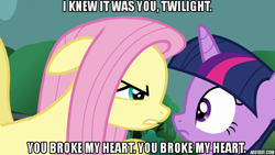 Size: 640x360 | Tagged: safe, edit, edited screencap, screencap, fluttershy, twilight sparkle, g4, magic duel, caption, looking at you, movie reference, quote, the godfather, threat, unamused