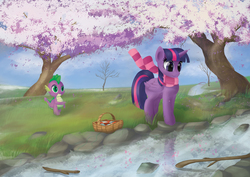 Size: 3508x2480 | Tagged: safe, artist:yunnecora, spike, twilight sparkle, alicorn, pony, g4, cherry blossoms, clothes, flower, flower blossom, high res, scarf, twilight sparkle (alicorn)