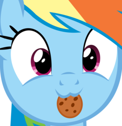 Size: 11060x11464 | Tagged: safe, artist:cyanlightning, rainbow dash, g4, .svg available, :3, absurd resolution, close-up, cookie, cute, dashabetes, female, food, looking at you, rainbow dash is best facemaker, simple background, smiling, solo, transparent background, vector