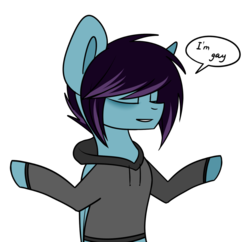 Size: 1024x990 | Tagged: safe, artist:despotshy, oc, oc only, oc:despot, pony, clothes, eyes closed, hoodie, male, meme, simple background, solo, stallion, transparent background