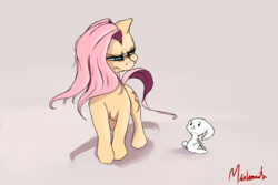 Size: 1800x1200 | Tagged: safe, artist:miokomata, angel bunny, fluttershy, g4, angry, duo, fangs, fluttershy is not amused, intimidating, looking at each other, signature, simple background, stare, the stare, unamused