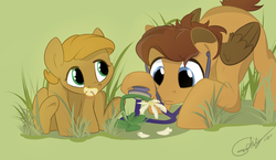 Size: 900x523 | Tagged: safe, artist:rutkotka, oc, oc only, pegasus, pony, cute, doctor, duo, flower, foal, grass, male, ocbetes, pacifier, petals, stallion