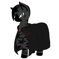 Size: 5000x5000 | Tagged: safe, artist:glacierfrostclaw, oc, oc only, oc:kifu kwato, zebra, fallout equestria, absurd resolution, cloak, clothes, female, mare, scar, simple background, solo, transparent background