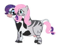 Size: 821x631 | Tagged: safe, artist:theunknowenone1, fluttershy, rarity, cow, zebra, g4, conjoined, fusion, multiple heads, raricow, species swap, two heads, udder, wat, we have become one, zebrow