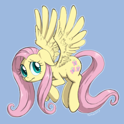 Size: 1000x1000 | Tagged: safe, artist:tehflah, fluttershy, g4, colored pupils, cute, female, floppy ears, flying, looking at you, looking sideways, nervous, redraw, shyabetes, simple background, solo, spread wings