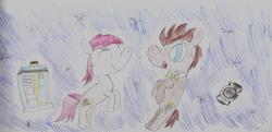 Size: 3509x1699 | Tagged: safe, artist:ptitemouette, doctor whooves, roseluck, time turner, pony, g4, bowtie, doctor who, flying, male, portal, ship:doctorrose, shipping, space, stallion, straight, tardis, traditional art
