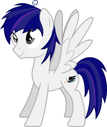 Size: 4153x4925 | Tagged: safe, artist:livehotsun, oc, oc only, oc:hotsun, pegasus, pony, absurd resolution, cutie mark, male, simple background, solo, stallion, transparent background, vector