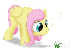 Size: 1183x815 | Tagged: safe, artist:stillwaterspony, fluttershy, pegasus, pony, g4, ..., curious, female, grass, head down, looking at something, looking down, puzzled, question mark, rough, solo