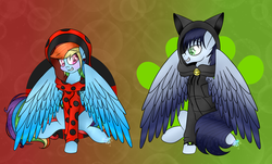 Size: 1024x620 | Tagged: safe, artist:northlights8, rainbow dash, soarin', pony, g4, chat noir, clothes, colored wings, cosplay, costume, crossover, hoodie, male, miraculous ladybug, ship:soarindash, shipping, straight