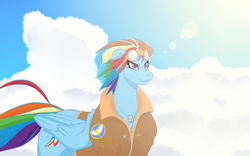 Size: 1080x675 | Tagged: safe, artist:shybaldur, rainbow dash, g4, bomber jacket, cloud, dog tags, female, frown, goggles, solo, sun, windswept mane, wonderbolts logo