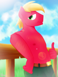 Size: 1200x1600 | Tagged: safe, artist:timidwithapen, big macintosh, anthro, g4, clothes, lens flare, male, partial nudity, solo, stupid sexy big macintosh, thumbs up, topless