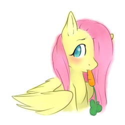 Size: 689x689 | Tagged: safe, artist:yan-kuu, fluttershy, pegasus, pony, blushing, bust, carrot, cute, female, food, hair over one eye, herbivore, horses doing horse things, looking at you, mare, nom, portrait, shyabetes, simple background, solo, transparent background