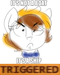 Size: 617x771 | Tagged: safe, artist:pucksterv, oc, oc only, oc:captain caramel, pony, angry, animated, gif, meme, solo, triggered