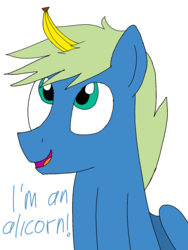 Size: 1200x1600 | Tagged: safe, artist:toyminator900, oc, oc only, oc:screen gazer, pegasus, pony, banana, eyes on the prize, fake horn, food, fruit, silly, silly pony, simple background, solo, transparent background