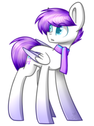 Size: 1077x1440 | Tagged: safe, artist:despotshy, oc, oc only, pegasus, pony, clothes, male, scarf, simple background, solo, stallion, transparent background
