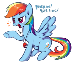 Size: 1210x1050 | Tagged: safe, artist:haden-2375, rainbow dash, pegasus, pony, g4, backwards cutie mark, dialogue, exclamation point, female, korean, lidded eyes, mare, open mouth, raised hoof, simple background, sitting, solo, spread wings, translation, transparent background, whistle, whistle necklace, wings