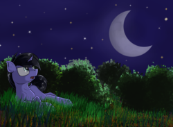 Size: 1990x1460 | Tagged: safe, artist:beardie, oc, oc only, pony, unicorn, moon, night, night sky, on side, solo, stars