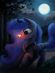 Size: 675x900 | Tagged: safe, artist:lollipony, princess luna, alicorn, butterfly, firefly (insect), pony, g4, female, insect on nose, maple leaf, mare, moon, night, signature, solo