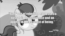 Size: 1600x900 | Tagged: safe, screencap, rumble, pegasus, pony, g4, marks and recreation, albert camus, black and white, camus, colt, grayscale, male, monochrome, quote