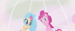 Size: 640x267 | Tagged: safe, screencap, applejack, fluttershy, pinkie pie, princess skystar, rainbow dash, rarity, earth pony, pegasus, pony, seapony (g4), unicorn, g4, my little pony: the movie, animated, bioluminescent, blue eyes, blushing, bubble, coral, cropped, cute, discovery family logo, dorsal fin, faic, female, fin, fin wings, fins, fish tail, floppy ears, flower, flower in hair, flowing mane, flowing tail, freckles, gif, glowing, happy, horn, jewelry, mare, necklace, ocean, open mouth, open smile, pearl necklace, rarara, reflection, seaponified, seapony applejack, seapony fluttershy, seapony pinkie pie, seapony rainbow dash, seapony rarity, seaquestria, seashell, seaweed, silly, silly pony, skyabetes, smiling, species swap, swimming, tail, underwater, water, who's a silly pony, wings