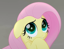 Size: 692x530 | Tagged: safe, screencap, fluttershy, pegasus, pony, g4, my little pony: the movie, cowering, cute, female, floppy ears, mare, raised hoof, scared, shyabetes, solo