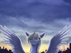 Size: 4000x3000 | Tagged: safe, artist:aqualit, oc, oc only, oc:moonbow, alicorn, pony, alicorn oc, cloud, cloudy, female, large wings, skyline, solo, sunset, wings