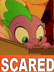 Size: 297x399 | Tagged: safe, spike, dragon, g4, my little pony: the movie, cropped, meme, reaction image, scared, solo focus, tony kornheiser, why.jpg