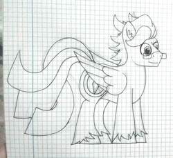 Size: 1574x1440 | Tagged: safe, artist:summerium, oc, oc only, oc:summer lights, pegasus, pony, glasses, graph paper, lined paper, monochrome, solo, traditional art, unshorn fetlocks