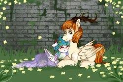 Size: 2560x1707 | Tagged: artist needed, safe, princess celestia, oc, oc:king mirael, g4, duo, miraestia