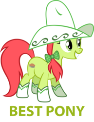 Size: 1024x1324 | Tagged: safe, artist:daringdashie, edit, peachy sweet, earth pony, pony, g4, apple family member, background pony, best pony, boots, female, hat, image macro, mare, meme, shoes, simple background, solo, ten gallon hat, white background