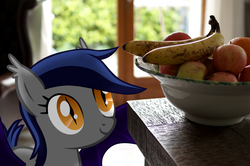 Size: 4912x3264 | Tagged: safe, artist:stormxf3, oc, oc only, oc:echo, bat pony, g4, apple, banana, bowl, food, fruit, hungry, indoors, irl, orange, photo, ponies in real life, smiling, solo, stare, table, that bat pony sure does love fruits