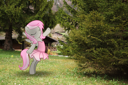 Size: 6000x4000 | Tagged: safe, artist:stormxf3, oc, oc only, oc:sweet shutter, pegasus, pony, g4, ballerina, bipedal, eyes closed, female, irl, mare, photo, ponies in real life, solo
